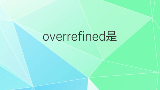 overrefined是什么意思 overrefined的中文翻译、读音、例句