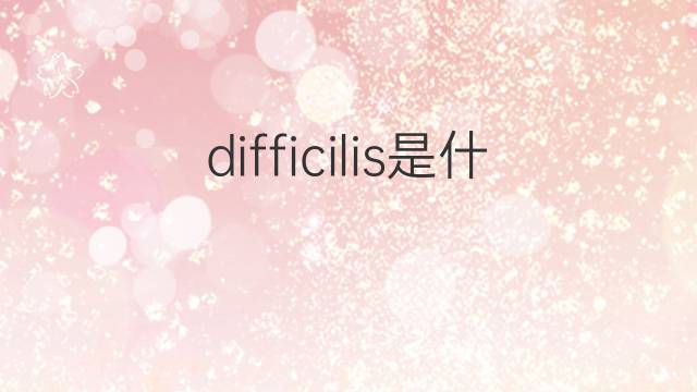 difficilis是什么意思 difficilis的中文翻译、读音、例句