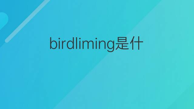birdliming是什么意思 birdliming的中文翻译、读音、例句