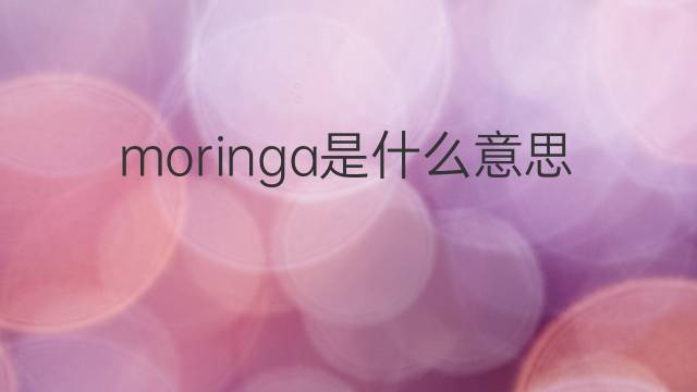 moringa是什么意思 moringa的中文翻译、读音、例句