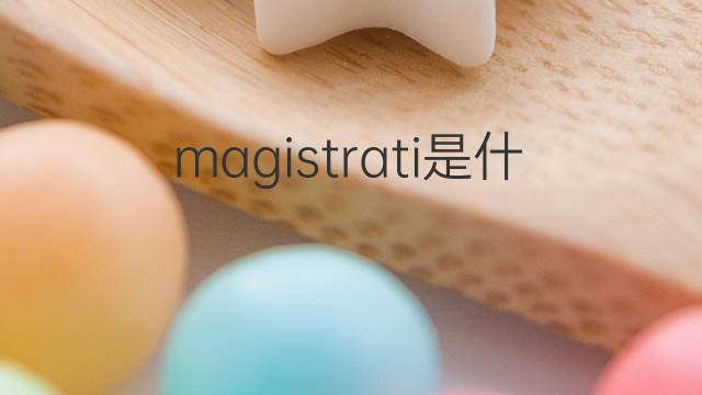 magistrati是什么意思 magistrati的中文翻译、读音、例句