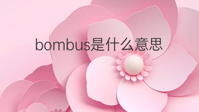 bombus是什么意思 bombus的中文翻译、读音、例句