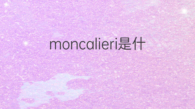 moncalieri是什么意思 moncalieri的中文翻译、读音、例句