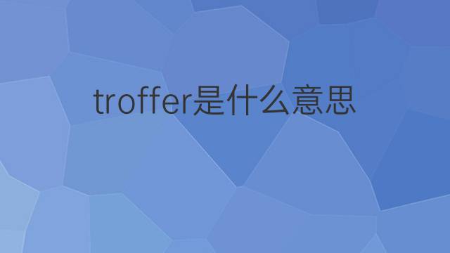 troffer是什么意思 troffer的中文翻译、读音、例句