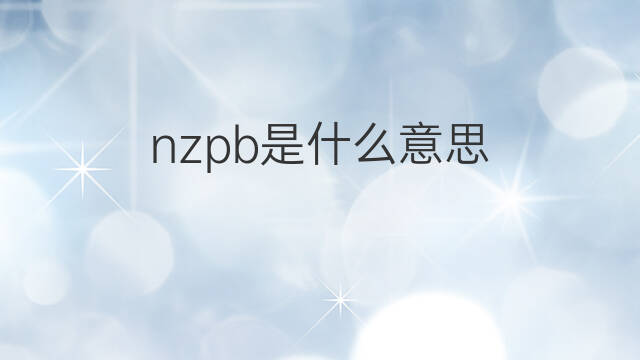 nzpb是什么意思 nzpb的中文翻译、读音、例句