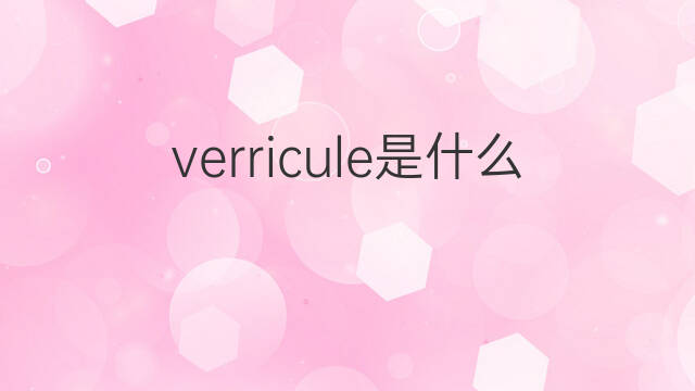 verricule是什么意思 verricule的中文翻译、读音、例句
