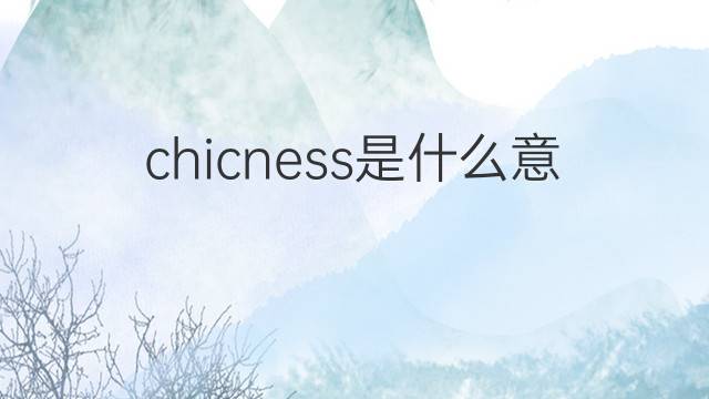 chicness是什么意思 chicness的中文翻译、读音、例句