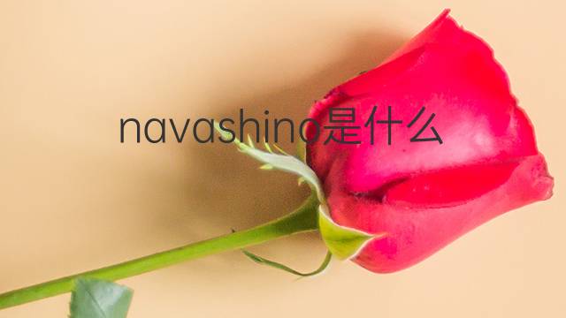 navashino是什么意思 navashino的中文翻译、读音、例句