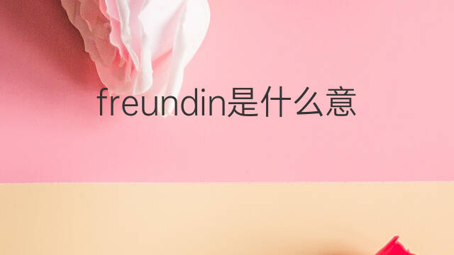 freundin是什么意思 freundin的中文翻译、读音、例句