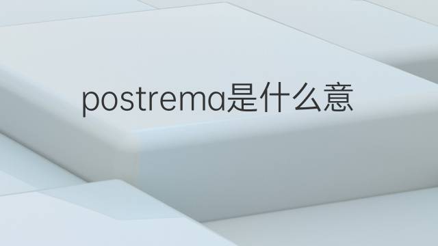 postrema是什么意思 postrema的中文翻译、读音、例句