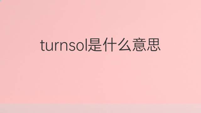 turnsol是什么意思 turnsol的中文翻译、读音、例句