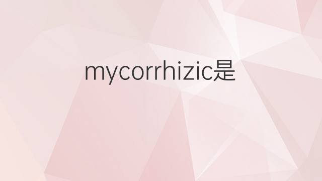 mycorrhizic是什么意思 mycorrhizic的中文翻译、读音、例句