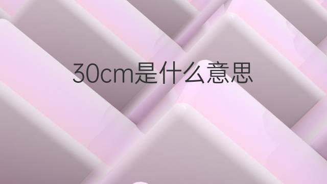 30cm是什么意思 30cm的中文翻译、读音、例句
