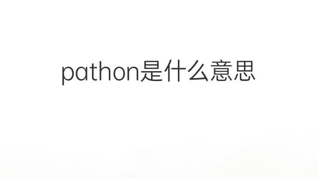 pathon是什么意思 pathon的中文翻译、读音、例句