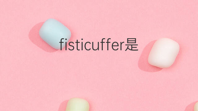 fisticuffer是什么意思 fisticuffer的中文翻译、读音、例句