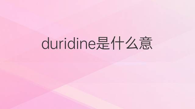 duridine是什么意思 duridine的中文翻译、读音、例句