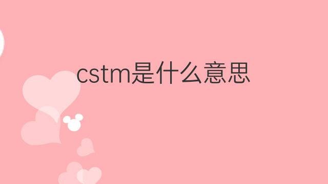 cstm是什么意思 cstm的中文翻译、读音、例句