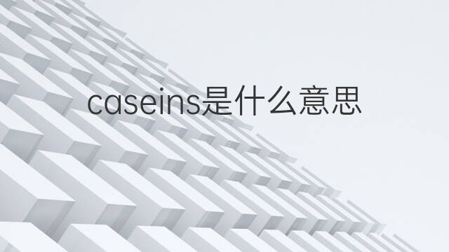 caseins是什么意思 caseins的中文翻译、读音、例句