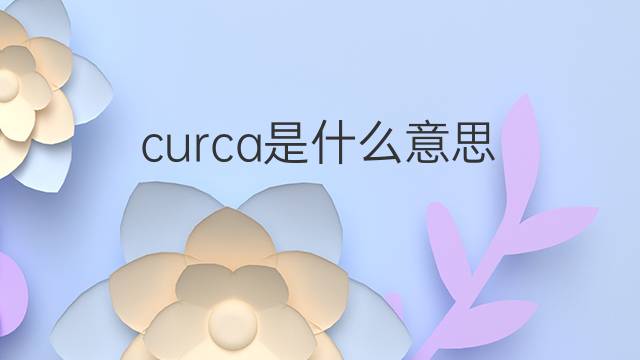 curca是什么意思 curca的中文翻译、读音、例句