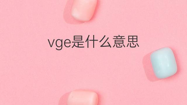 vge是什么意思 vge的中文翻译、读音、例句