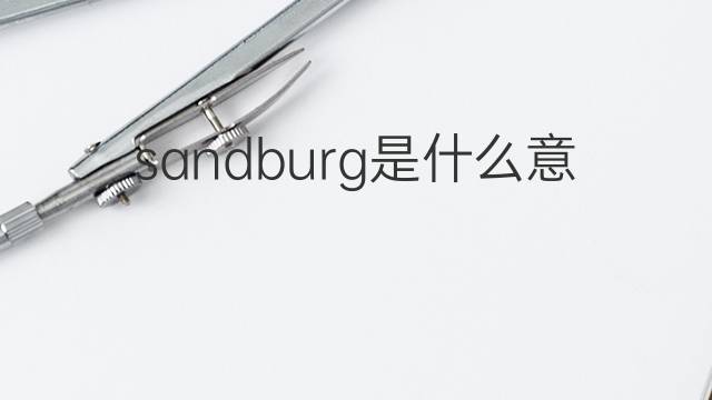 sandburg是什么意思 sandburg的中文翻译、读音、例句
