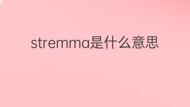 stremma是什么意思 stremma的中文翻译、读音、例句