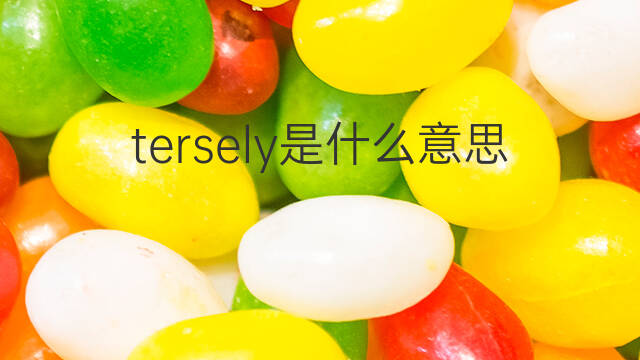 tersely是什么意思 tersely的中文翻译、读音、例句