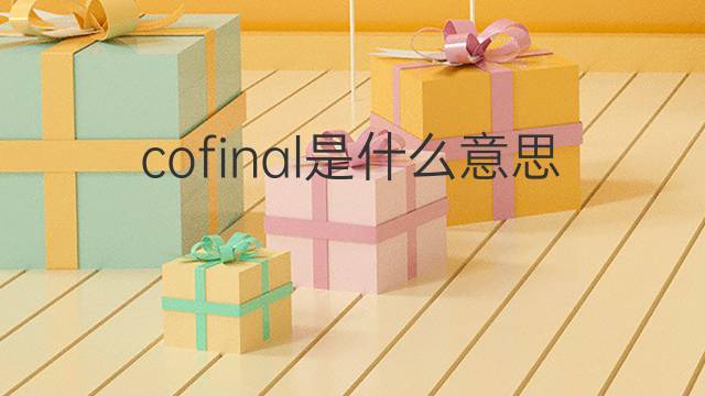 cofinal是什么意思 cofinal的中文翻译、读音、例句