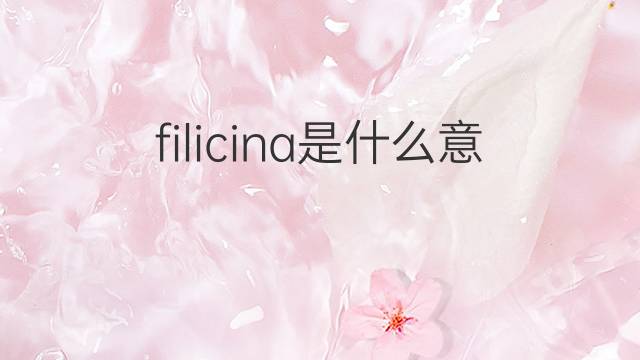 filicina是什么意思 filicina的中文翻译、读音、例句