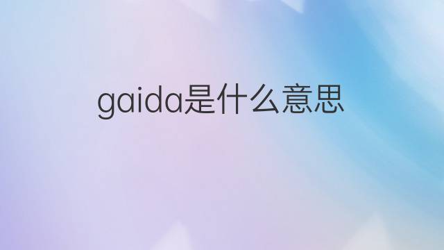 gaida是什么意思 gaida的中文翻译、读音、例句