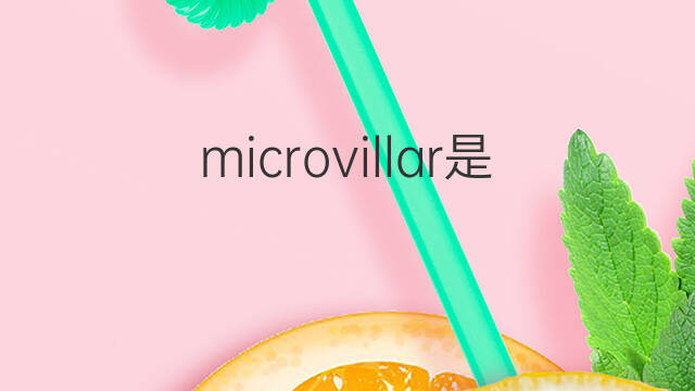 microvillar是什么意思 microvillar的中文翻译、读音、例句