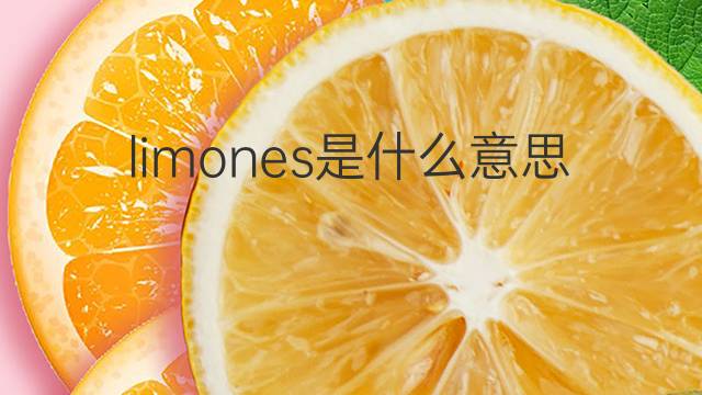 limones是什么意思 limones的中文翻译、读音、例句