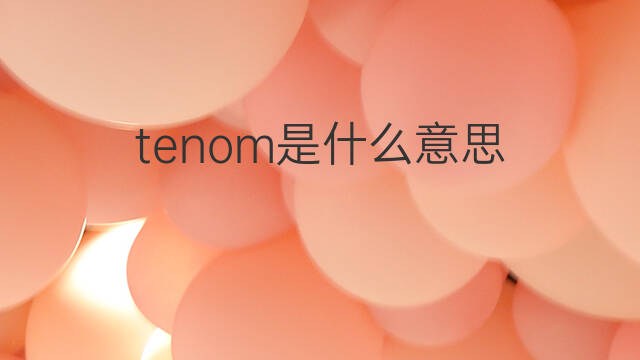 tenom是什么意思 tenom的中文翻译、读音、例句