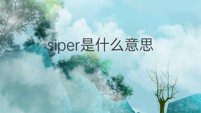 siper是什么意思 siper的中文翻译、读音、例句