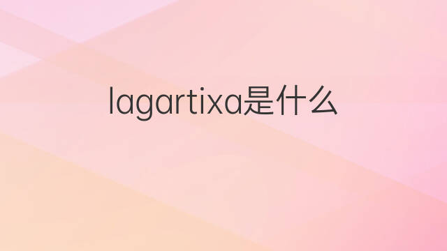 lagartixa是什么意思 lagartixa的中文翻译、读音、例句