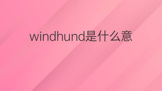 windhund是什么意思 windhund的中文翻译、读音、例句
