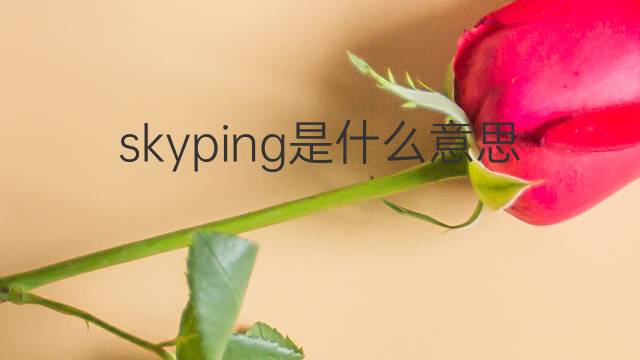skyping是什么意思 skyping的中文翻译、读音、例句