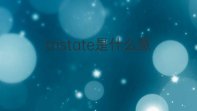 tristate是什么意思 tristate的中文翻译、读音、例句