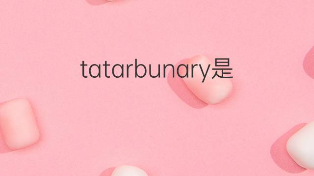 tatarbunary是什么意思 tatarbunary的中文翻译、读音、例句