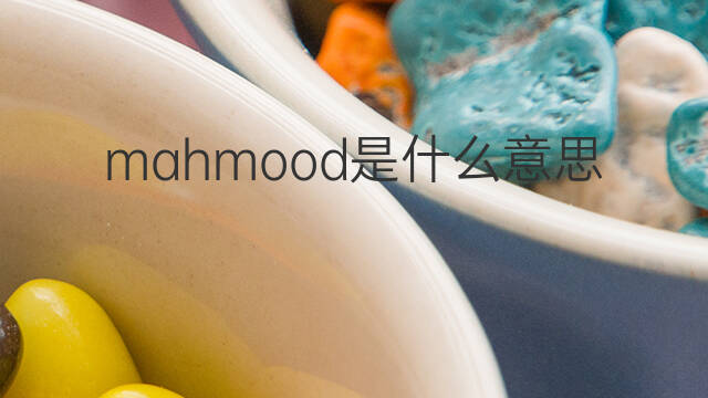 mahmood是什么意思 mahmood的中文翻译、读音、例句