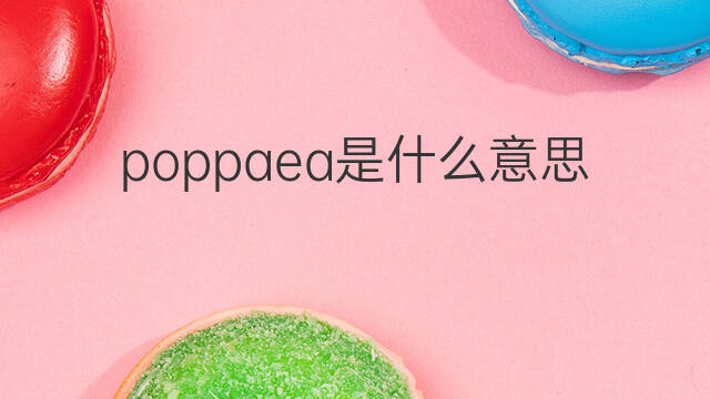poppaea是什么意思 poppaea的中文翻译、读音、例句