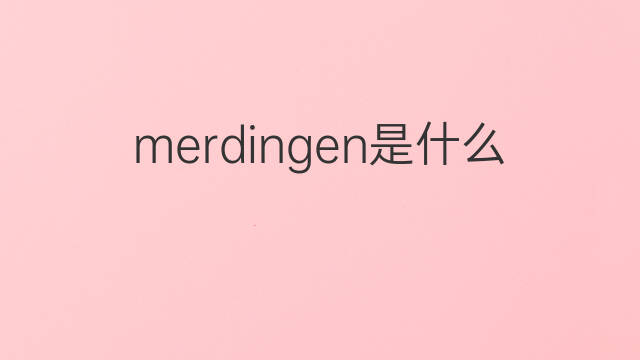 merdingen是什么意思 merdingen的中文翻译、读音、例句