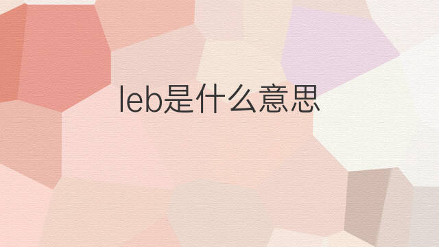 leb是什么意思 leb的中文翻译、读音、例句