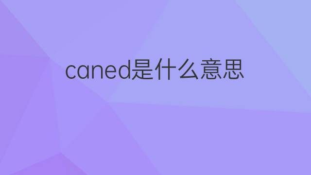 caned是什么意思 caned的中文翻译、读音、例句