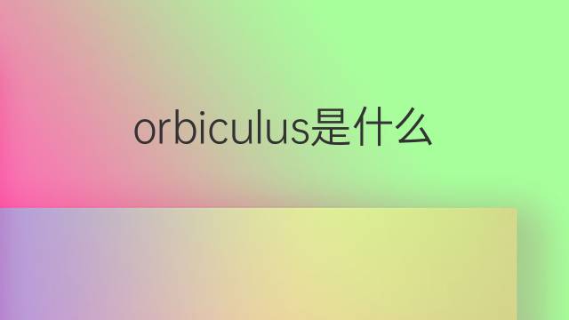 orbiculus是什么意思 orbiculus的中文翻译、读音、例句