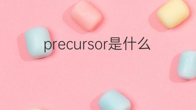 precursor是什么意思 precursor的中文翻译、读音、例句