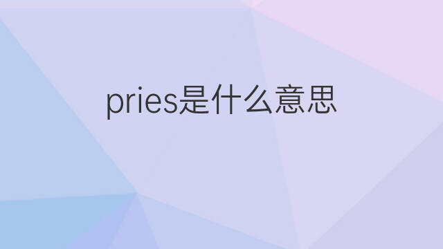 pries是什么意思 pries的中文翻译、读音、例句