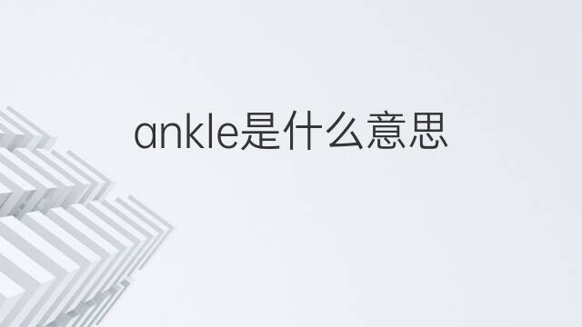 ankle是什么意思 ankle的中文翻译、读音、例句