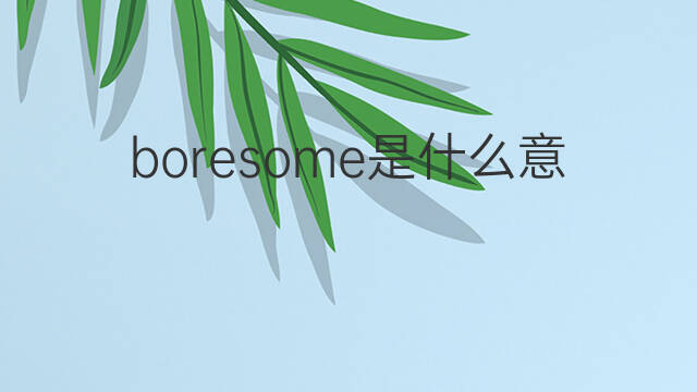 boresome是什么意思 boresome的中文翻译、读音、例句