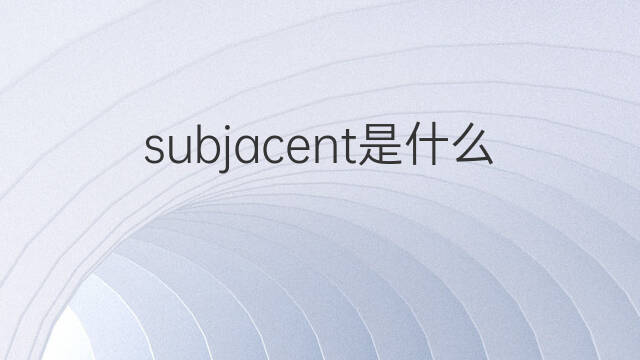 subjacent是什么意思 subjacent的中文翻译、读音、例句